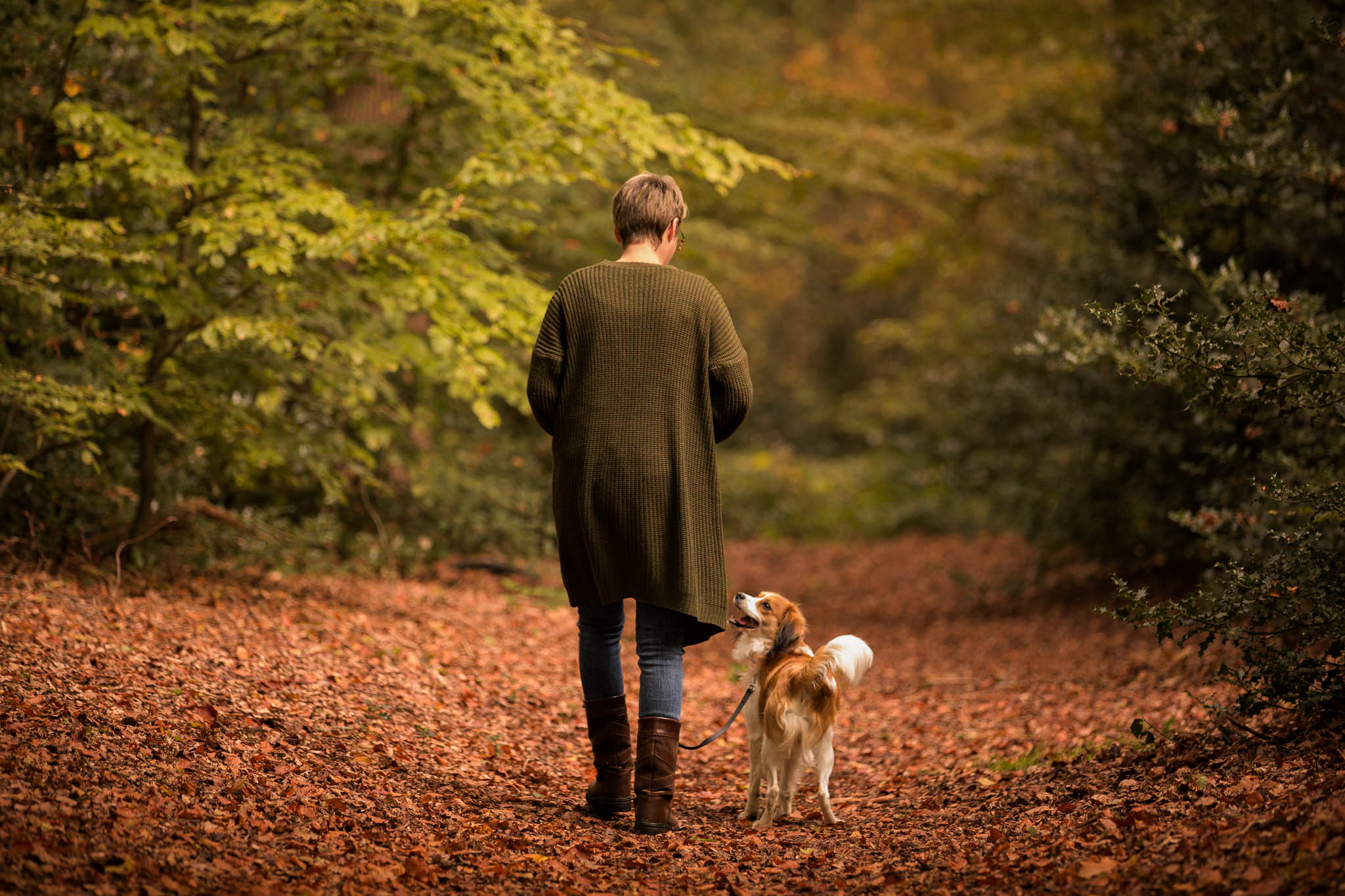 Kyno_Kampen_Puppy_Honden_Cursus_School_Kampen_Zwolle_Martin_Gaus_Gercertificeerd_Professioneel